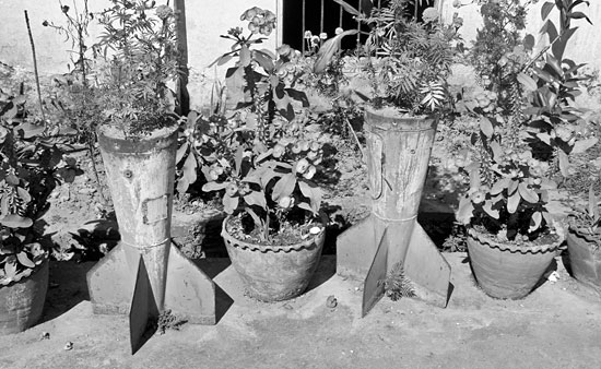 egzotikus virágvázák