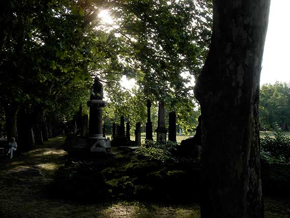 valami 56 hektár a temető területe, a Margit-sziget után a legnagyobb park a városban!