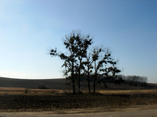 DSC06143.jpg