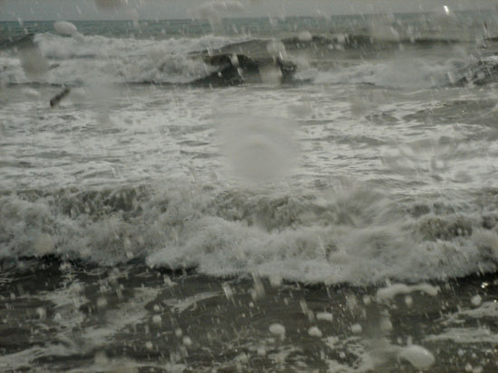 DSC08524.jpg
