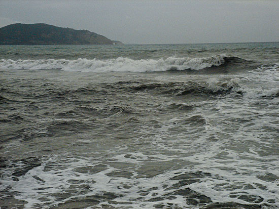 DSC08537.jpg
