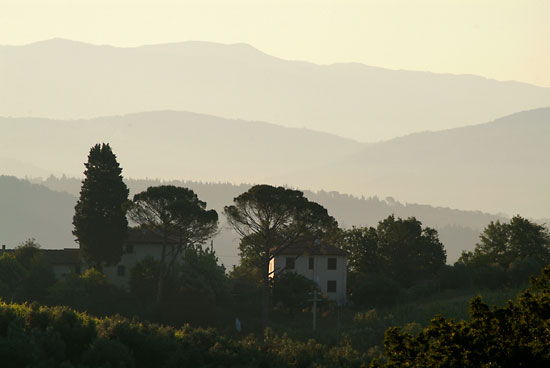 DSCF8834.jpg