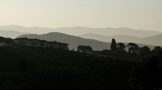 DSCF8838.jpg