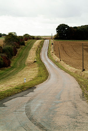 DSCF9431.jpg