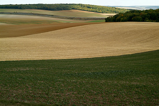 DSCF9469.jpg