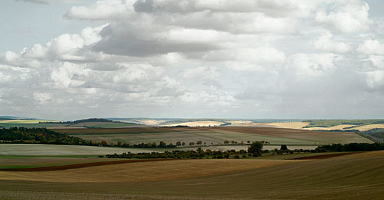 DSCF9475.jpg