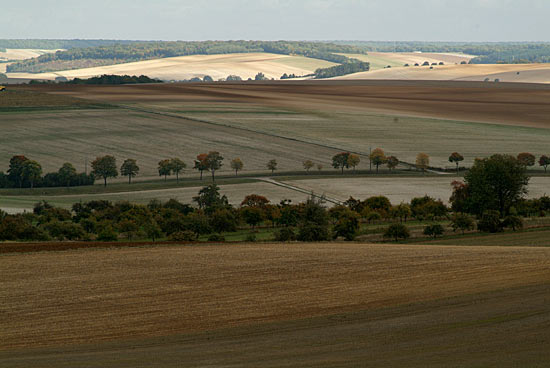 DSCF9477.jpg