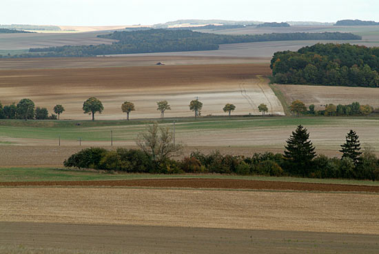 DSCF9481.jpg