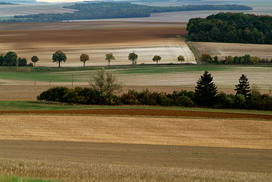 DSCF9495.jpg