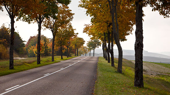 L1010145.jpg