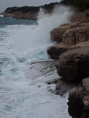 L1010867.jpg
