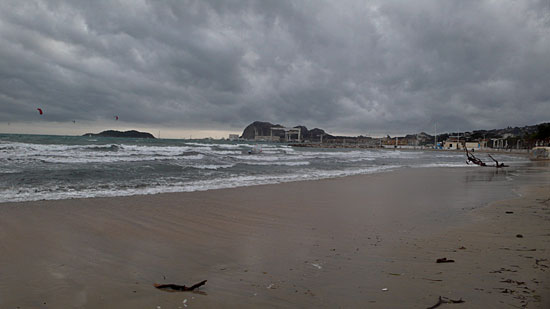 L1010902.jpg
