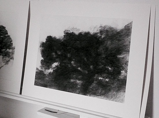L1010992.jpg