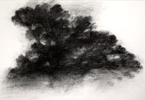 L1020716.jpg