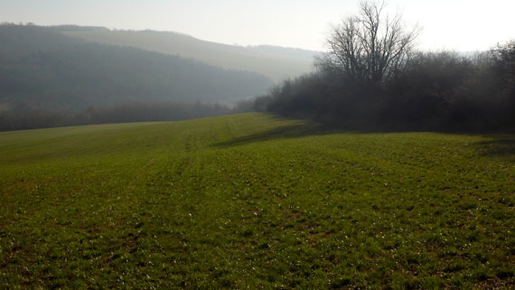 decemberi gyönyörűség: hétvégi kirándulás Somogyban